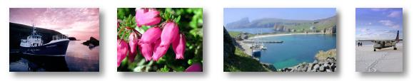 Dave Wheeler Images