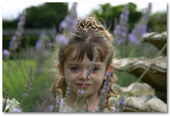 Lifetyme Photography