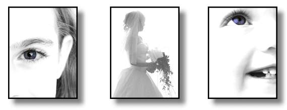 The Photographic Suite